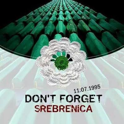 Dan Srebrenice